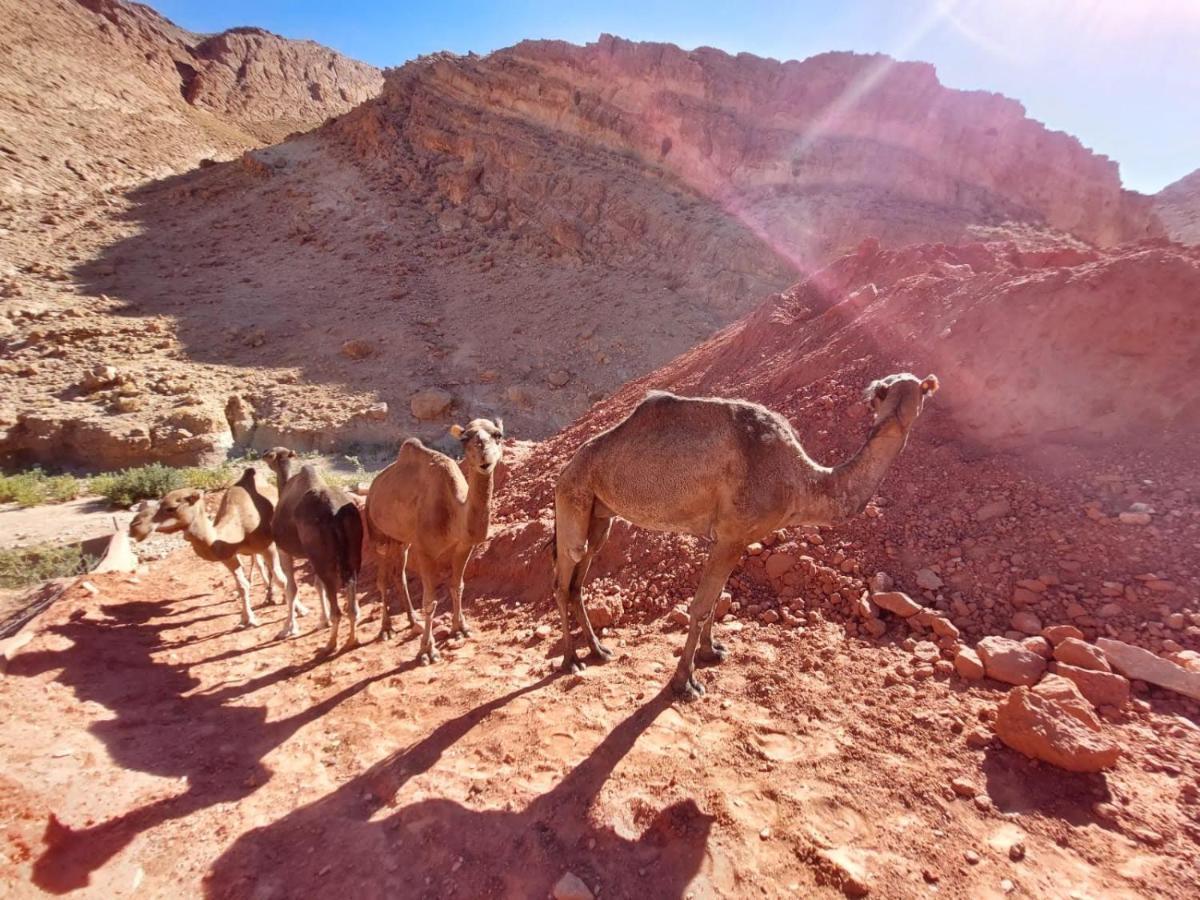 Bab El Atlas Kelaat-M'Gouna Luaran gambar